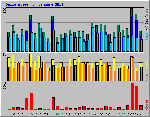 Daily usage for January 2013