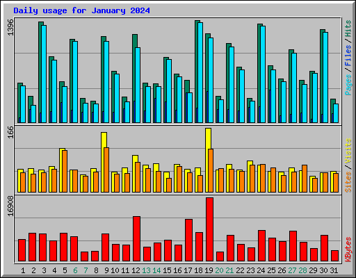 Daily usage for January 2024