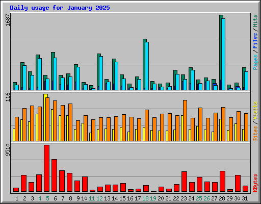 Daily usage for January 2025