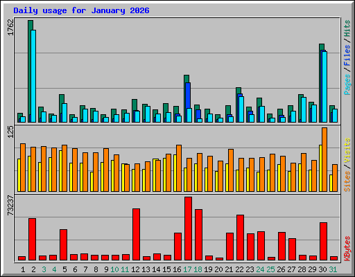 Daily usage for January 2026
