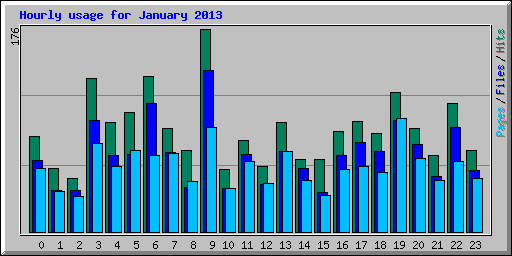 Hourly usage for January 2013