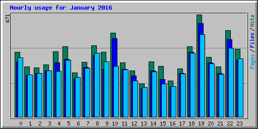 Hourly usage for January 2016