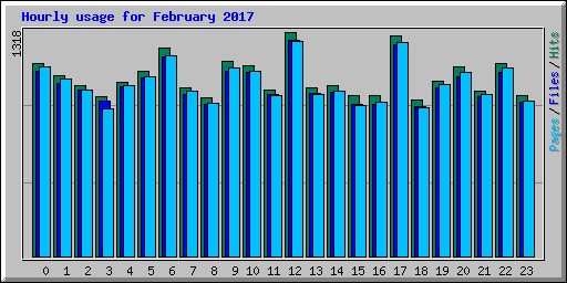 Hourly usage for February 2017
