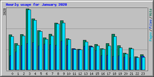 Hourly usage for January 2020