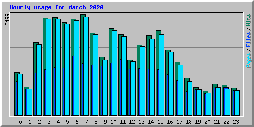 Hourly usage for March 2020