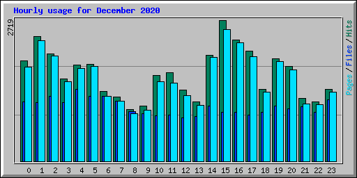 Hourly usage for December 2020