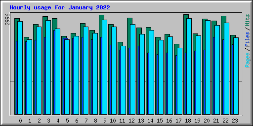 Hourly usage for January 2022
