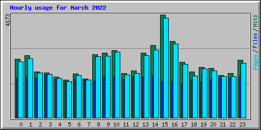 Hourly usage for March 2022