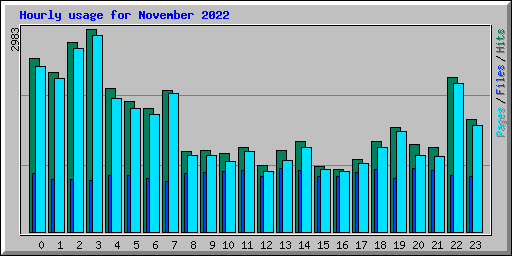 Hourly usage for November 2022