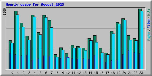 Hourly usage for August 2023