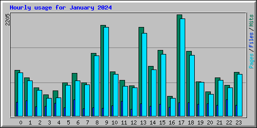Hourly usage for January 2024