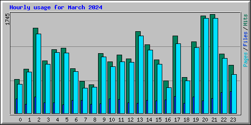 Hourly usage for March 2024