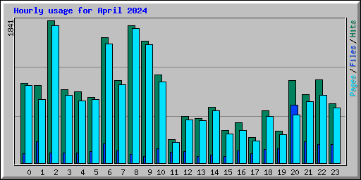Hourly usage for April 2024