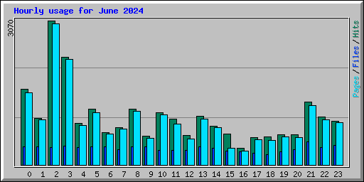Hourly usage for June 2024