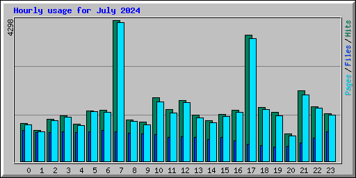 Hourly usage for July 2024