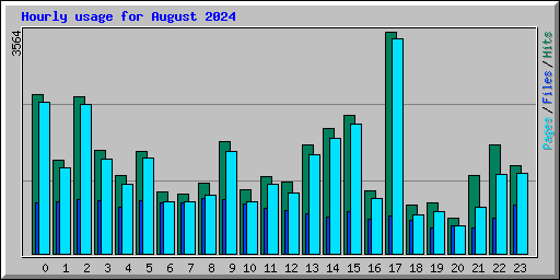 Hourly usage for August 2024