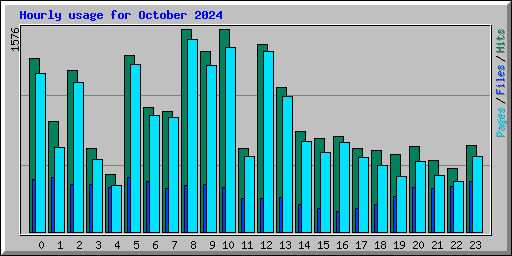 Hourly usage for October 2024