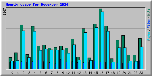 Hourly usage for November 2024