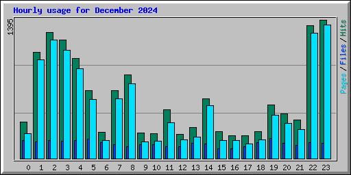 Hourly usage for December 2024