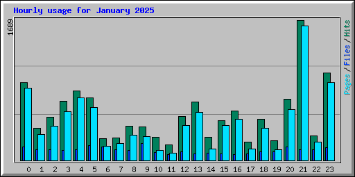 Hourly usage for January 2025