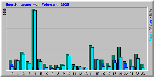 Hourly usage for February 2025