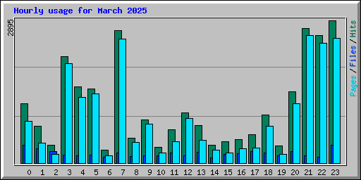 Hourly usage for March 2025