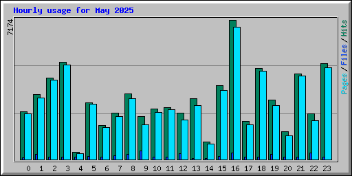Hourly usage for May 2025