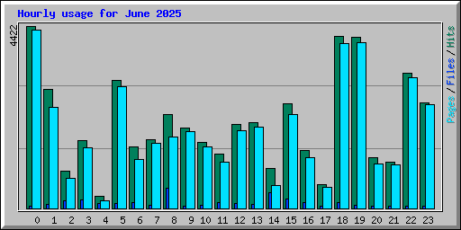 Hourly usage for June 2025