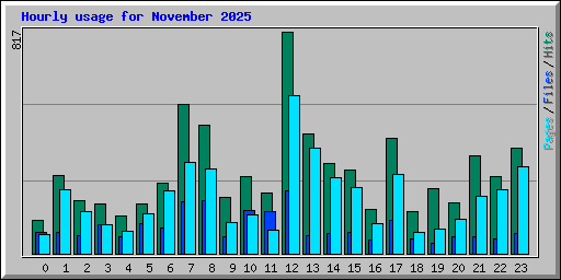 Hourly usage for November 2025