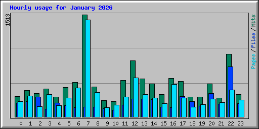 Hourly usage for January 2026