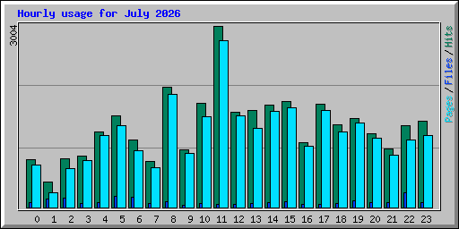 Hourly usage for July 2026